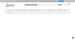 Desktop Screenshot of cefasinformatica.com